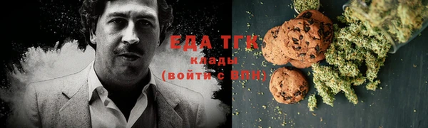 первитин Инсар