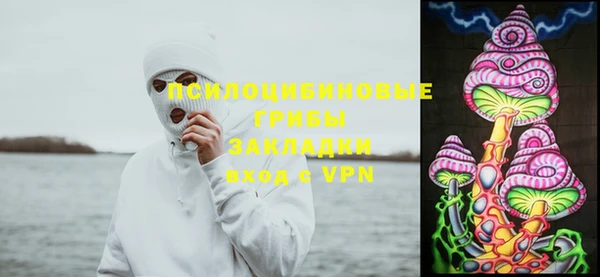 MESCALINE Каменка