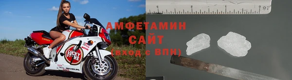 шишки Каменногорск