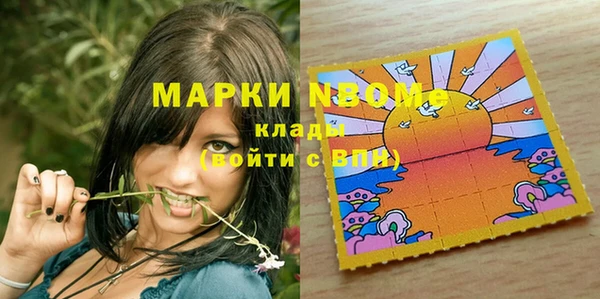 шишки Каменногорск