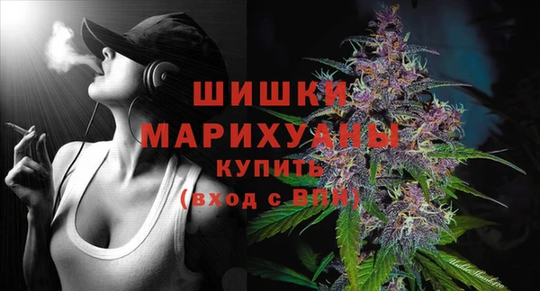 гидра Каменск-Шахтинский
